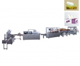 藥用自動高速裝盒機的形式